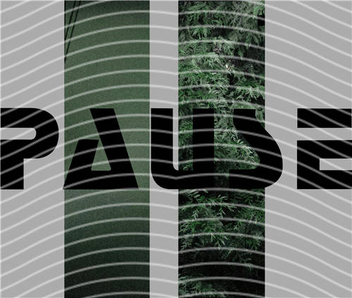 latest edition-KNY 922